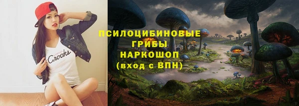 мдпв Богородск