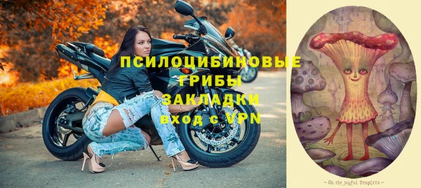 мдпв Богородск