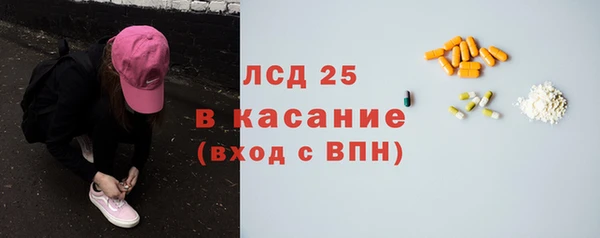 стафф Богородицк