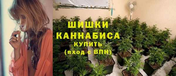 стафф Богородицк