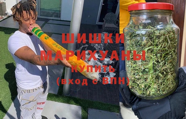 мдпв Богородск