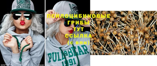 стафф Богородицк