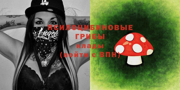 мдпв Богородск