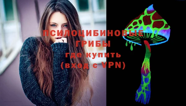 мдпв Богородск