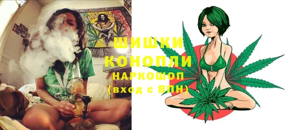 стафф Богородицк