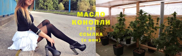 мдпв Богородск