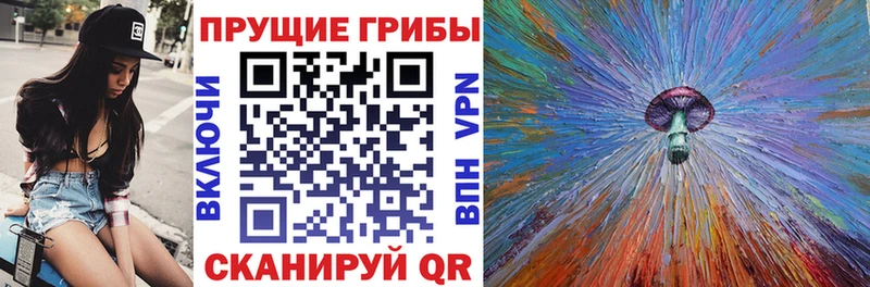 Псилоцибиновые грибы Psilocybe Новошахтинск