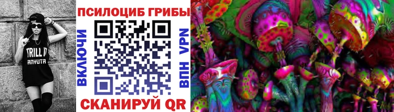 Псилоцибиновые грибы Psilocybine cubensis  хочу   Новошахтинск 